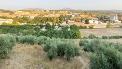  Land in Iznalloz, Spain No. 245052