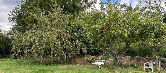 4 Schlafzimmer Haus in Soest, Germany, Nr. 320684 6