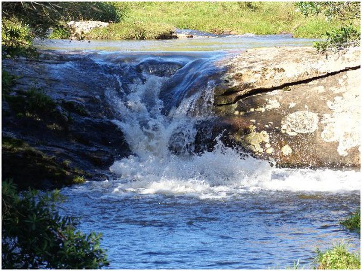  Farm in Maldonado, Uruguay No. 14135
