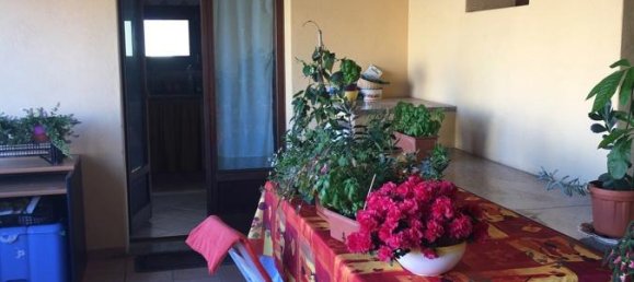 4غرفة شقة في Palau, Italy رقم 124354 30