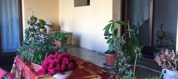 4غرفة شقة في Palau, Italy رقم 124354 29