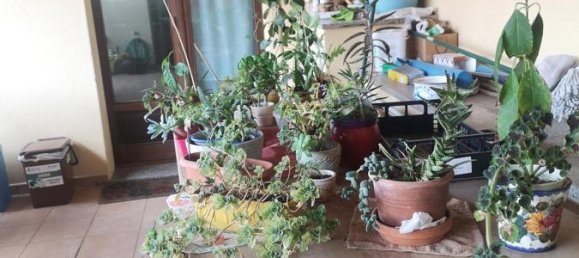 4غرفة شقة في Palau, Italy رقم 124354 22