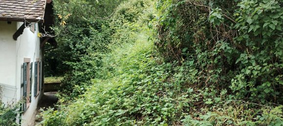 2 bedrooms House in Sainte-Marie-aux-Mines, France No. 159182 3