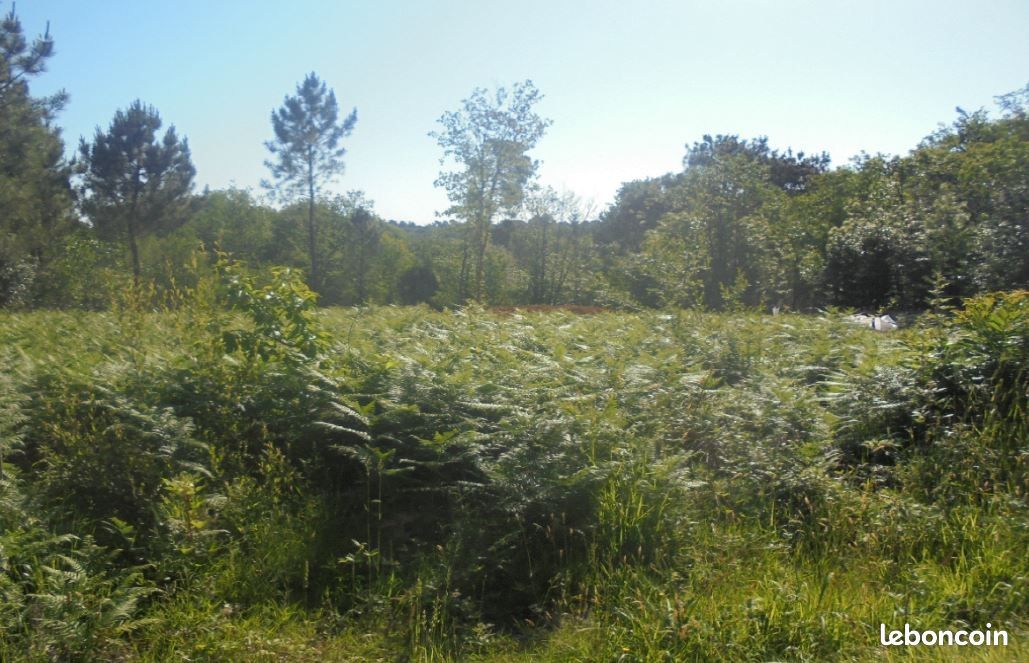 1800m² Land in Chateau-l'Eveque, France No. 111935