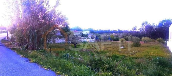  قطعة أرض في Marinha Grande, Portugal 2170متر مربع رقم 64113 3