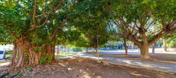 Пентхаус с 3 спальнями в Торревьеха, Испания № 188189 24