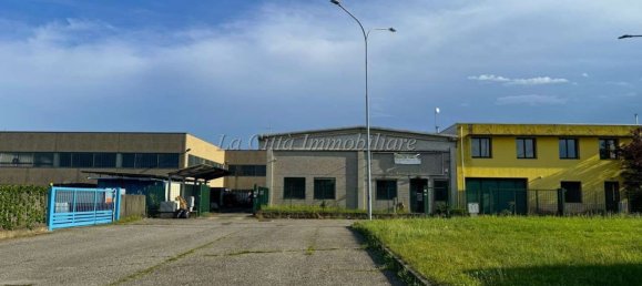 Склад 248м² в Кальтиньяга, Италия № 11397 4