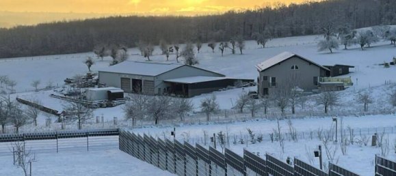 3 Schlafzimmer Haus in Trier-Saarburg, Germany, Nr. 320460 5