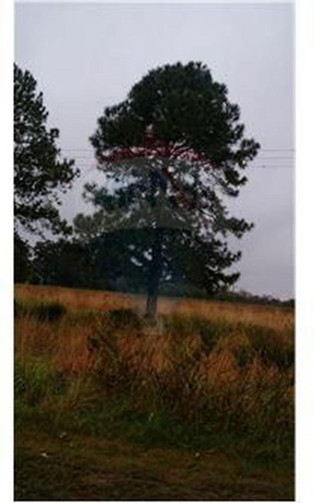  Land in Santa Fe, Argentina No. 34360