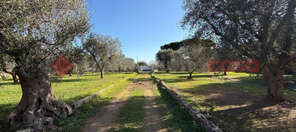 5-salle Maison à Sava, Italy No. 87699 15