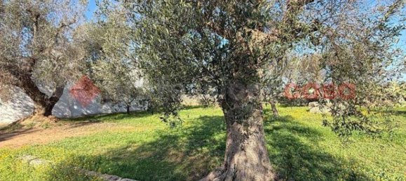 5-salle Maison à Sava, Italy No. 87699 18