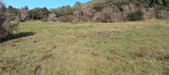 1225m² Land in Livorno, Italy No. 184473 6