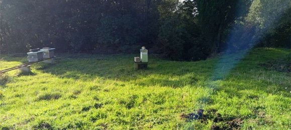 1225m² Land in Livorno, Italy No. 184473 14