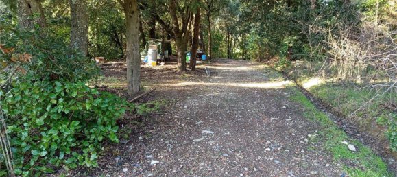 1225m² Land in Livorno, Italy No. 184473 12