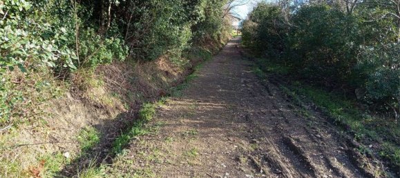 1225m² Land in Livorno, Italy No. 184473 20