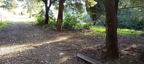 1225m² Land in Livorno, Italy No. 184473 8