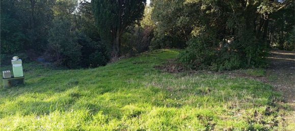 1225m² Land in Livorno, Italy No. 184473 13