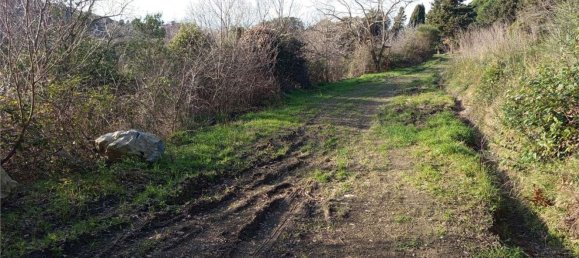 1225m² Land in Livorno, Italy No. 184473 18