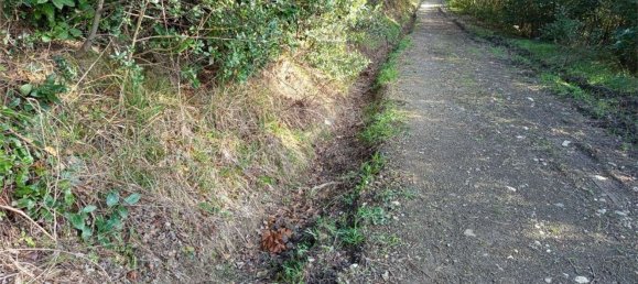 1225m² Land in Livorno, Italy No. 184473 4