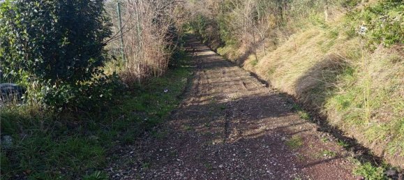 1225m² Land in Livorno, Italy No. 184473 3