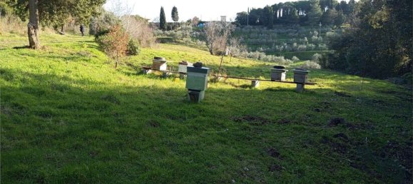 1225m² Land in Livorno, Italy No. 184473 7