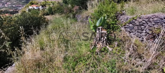 Terrain à Machico, Portugal No. 89680 2
