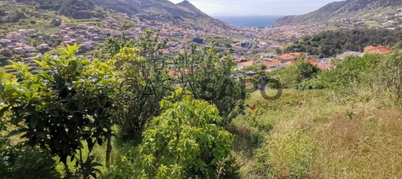 Terrain à Machico, Portugal No. 89680 5