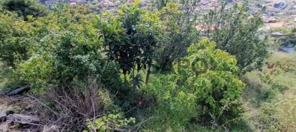 Terrain à Machico, Portugal No. 89680 6