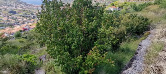 Terrain à Machico, Portugal No. 89680 4