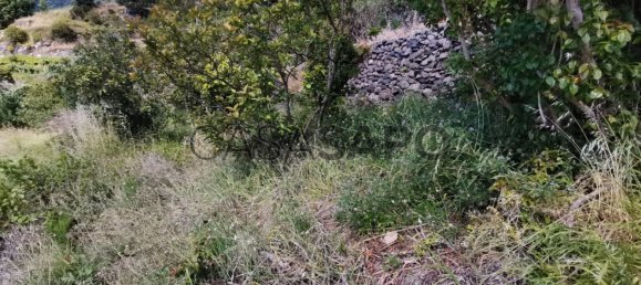 Terrain à Machico, Portugal No. 89680 7