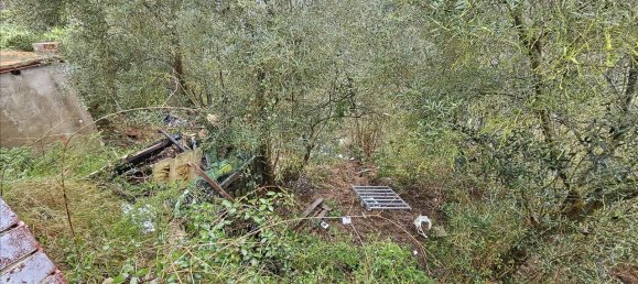 1 bedroom House in Riudarenes, Spain No. 163896 12