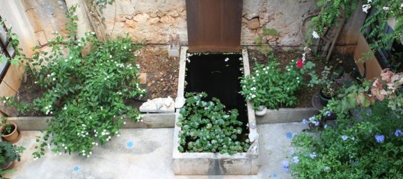 3 bedrooms House in Campos, Spain No. 152629 15