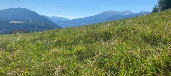 Terrain à Reichenau, Austria No. 224825 4