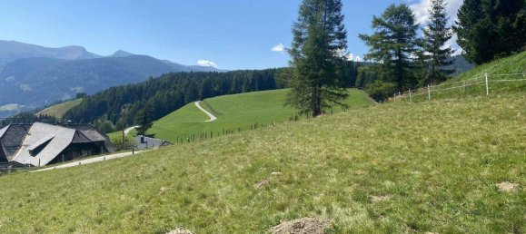 Terrain à Reichenau, Austria No. 224825 2