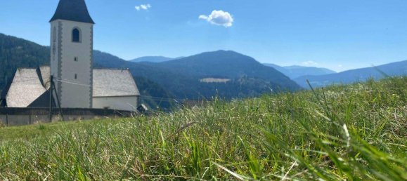 Terrain à Reichenau, Austria No. 224825 3