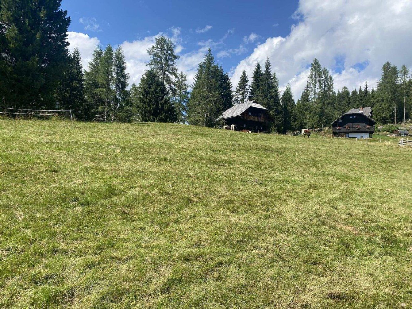 Terrain à Reichenau, Austria No. 224825