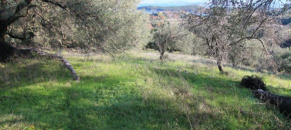 12500m² Hotel in Corfu, Greece No. 5223 4