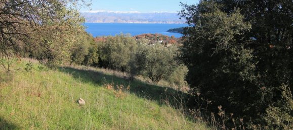 12500m² Hotel in Corfu, Greece No. 5223 2