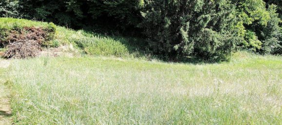 Terrain à Gallizien, Austria No. 227765 5