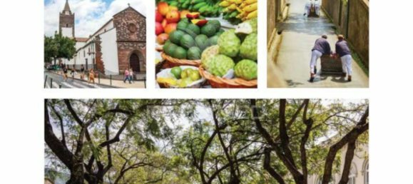 4 Schlafzimmer Wohnung in Funchal, Portugal, Nr. 142242 10