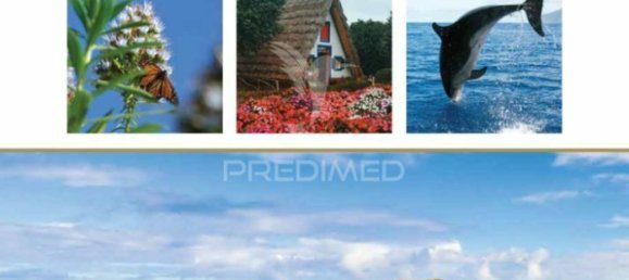 4 Schlafzimmer Wohnung in Funchal, Portugal, Nr. 142242 7