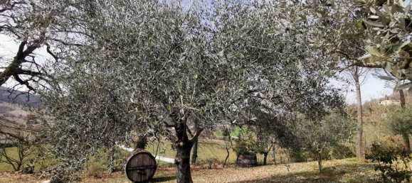 Villa de 10 divisões em Urbino, Italy N.º 269400 5