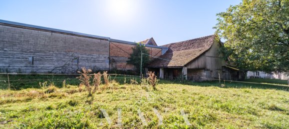 5 bedrooms Villa in Haut-Rhin, France No. 343003 18