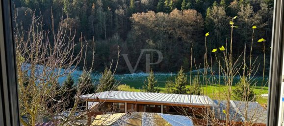 11 rooms Commercial property in Baden-Wurttemberg, Germany No. 56928 11