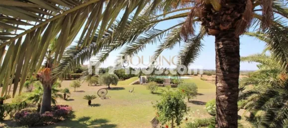 Casa T3 em Alcudia, Spain N.º 173916 26