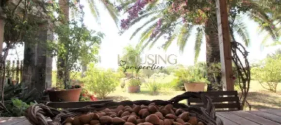 Casa T3 em Alcudia, Spain N.º 173916 2