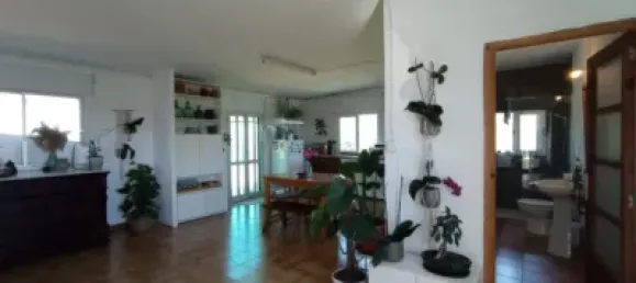 Casa T3 em Alcudia, Spain N.º 173916 17