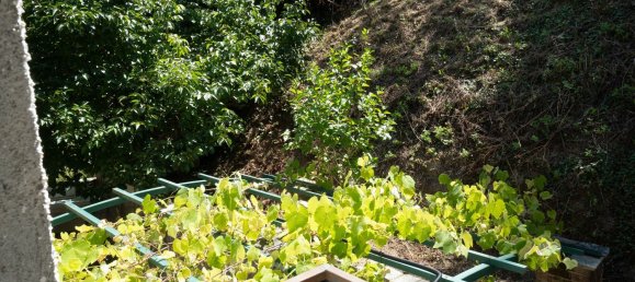 8 rooms House in Morsasco, Italy No. 306820 38