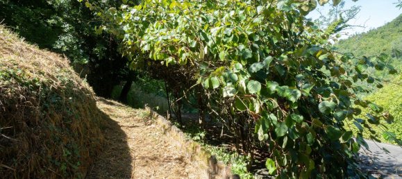 8 rooms House in Morsasco, Italy No. 306820 40