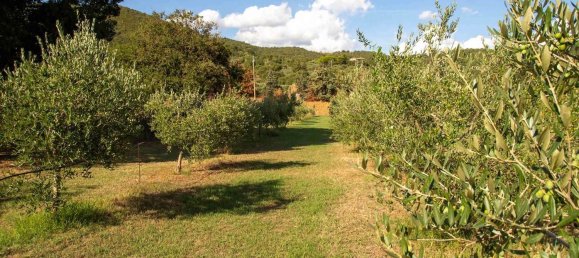 8 rooms House in Passignano sul Trasimeno, Italy No. 113601 4